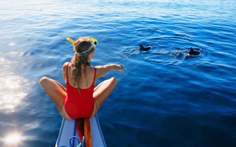 snorkelling avec les dauphins hurghada