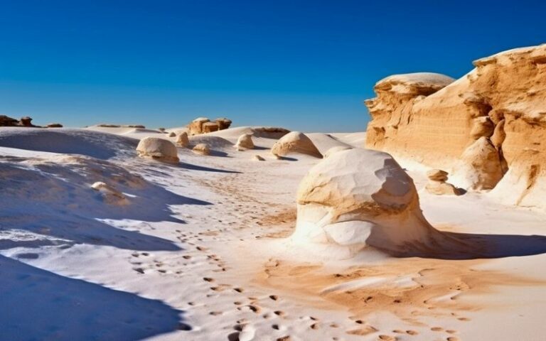 excursion desert blanc egypte